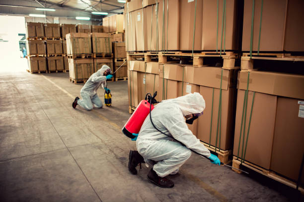 Best Affordable Pest Control Services  in Lla Lla, WA