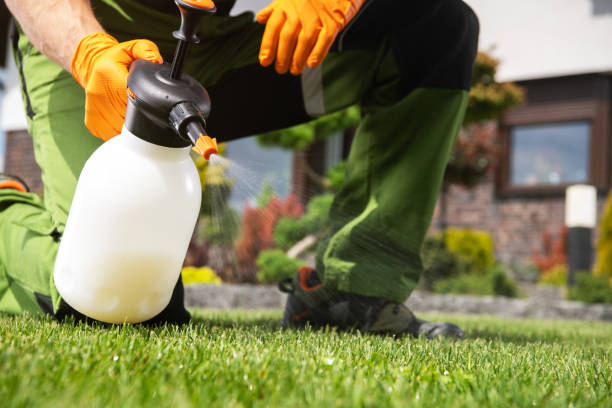 Best Wildlife Control Services  in Lla Lla, WA