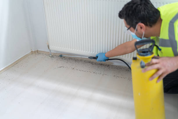 Best Commercial Pest Control Services  in Lla Lla, WA